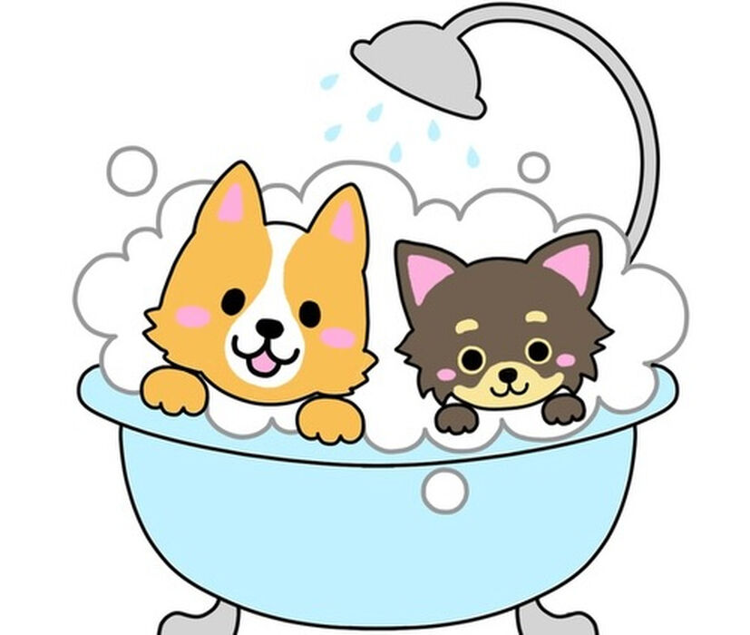 ブログ画像